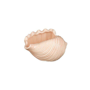 Vase ''Shell'' - Konkylie