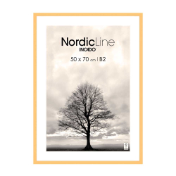 Malede tr�rammer - 50x70cm. - flere farver