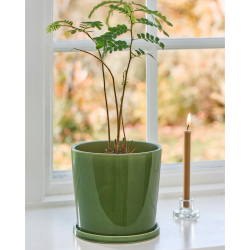 Skjuler "Saga" gr�n - � 16 cm.