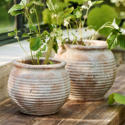 Skjuler "Margot" stor