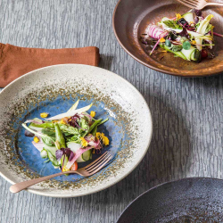 Nudel tallerken "Minoyaki" - Aya