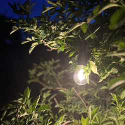 LED lampe til ophng - sort