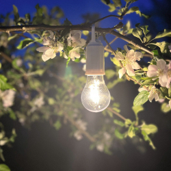 LED lampe til ophng - hvid