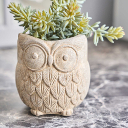 Potteskjuler i cement Ugle - 12 cm.