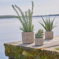 Skjuler cement Flower - 15 cm.