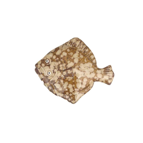 Skrubbe i keramik 14 cm. - Brun