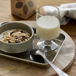 Serveringsbakke "Lucidus" lille