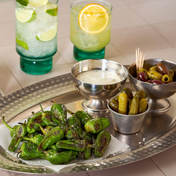 Iskop i st�l "Silver serve"