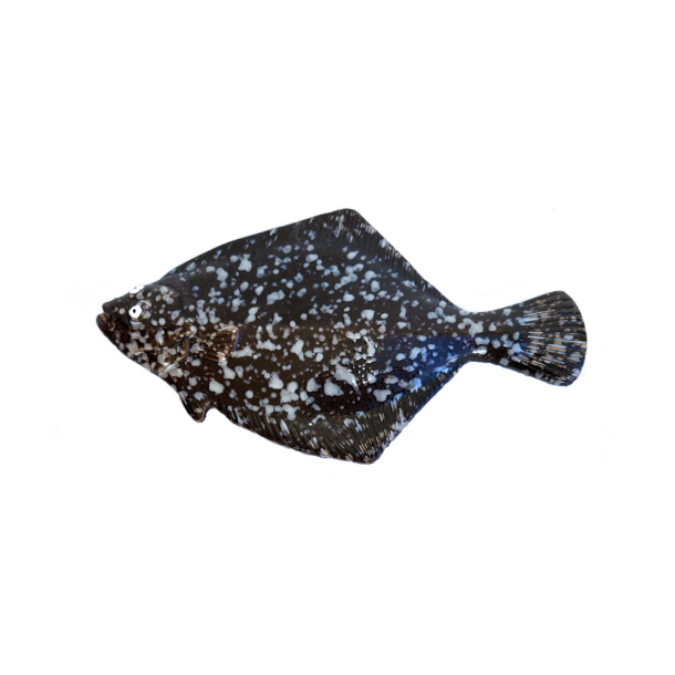 Skrubbe i keramik 29 cm. - Sort