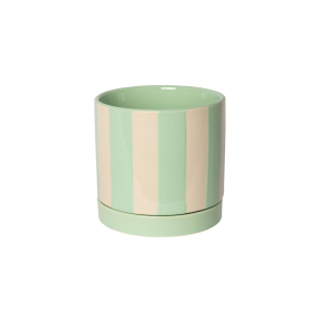 Urtepotte stribet mint - 12,5 cm.