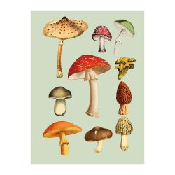 Sticker book - Antiquarian