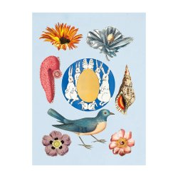 Sticker book - Antiquarian