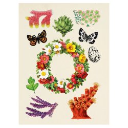 Sticker book - Antiquarian