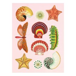 Sticker book - Antiquarian