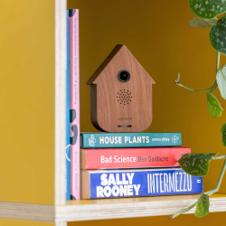 Cuckoo soundbox - m�rk tr�