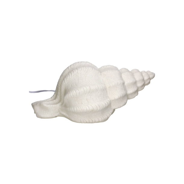 Bordlampe "Shell" - conch shell