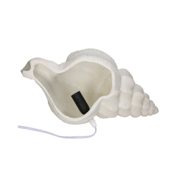 Bordlampe "Shell" - conch shell
