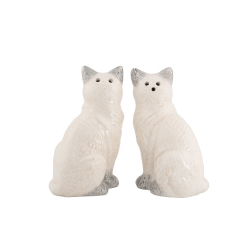 Salt &amp; pebers�t - Ragdoll Cat