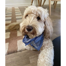 Glasornament - ''Toby''