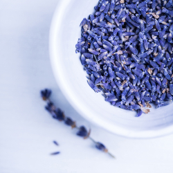 Duftpinde "Lavender"