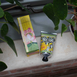 Hndcreme - Pineapple &amp; pink lotus