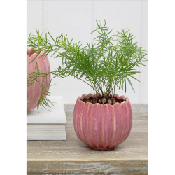 Potteskjuler "Gwen" - Pink