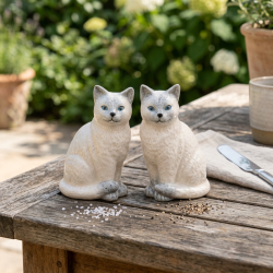 Salt &amp; pebers�t - Ragdoll Cat