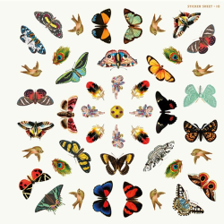 Sticker book - Mandala