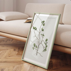 Ramme - A3 - flere varianter