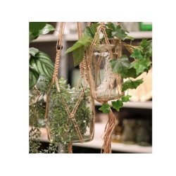 Cylinderglas - :13 cm