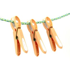 Tjklemme - Fersken med hvid blomst