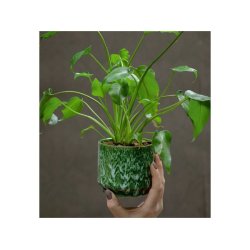 Potteskjuler "Ina" - lille