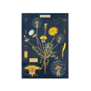 Vintage plakat Mlkebtte - 50x70 