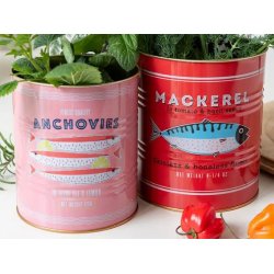 Dse m. motiv - ''Anchovies''