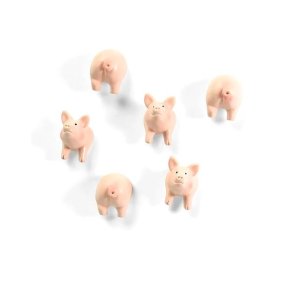 Magneter 6 stk. - Grise