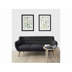 Plakat - "Giftige planter" - A4