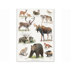 Plakat - "Nordiske dyr" - A2