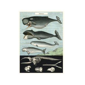 Vintage plakat Hvaler - 50x70 cm.