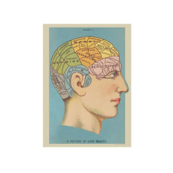 Vintage plakat Hjerne - 50x70 cm.