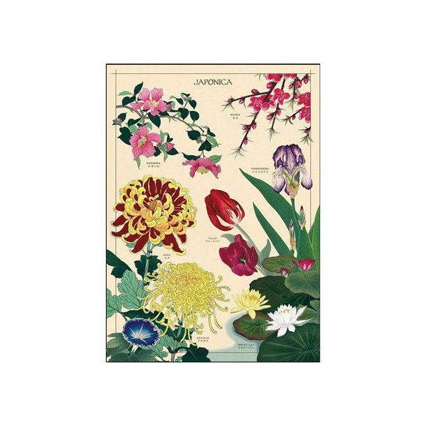 Vintage plakat Japaonica - 50x70 cm.