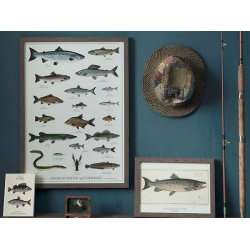 Plakat - "Havets Fisk" - A2