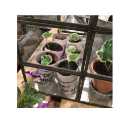 Paper pot maker - tr