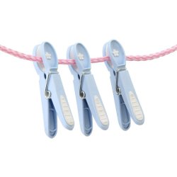 Tjklemme - lysebl med hvid blomst