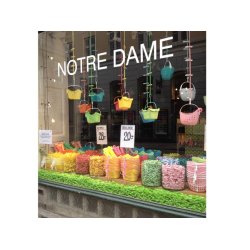 Tjklemme - Aqua med rosa blomst