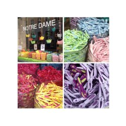 Tjklemme - orange med turkis blomst