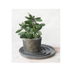 Rund metalbakke - zink - flere strrelser 